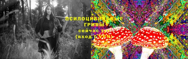 гашик Алзамай