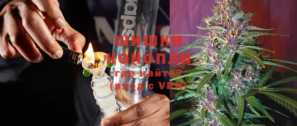 гидра Арсеньев