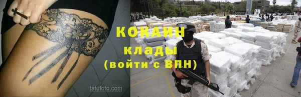 гидра Арсеньев